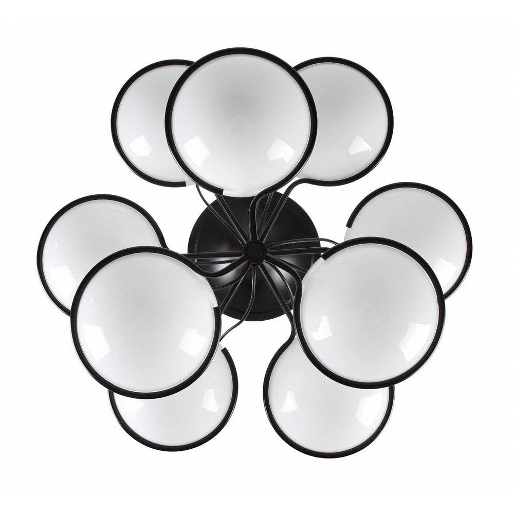 Matte Black Glass Flush Mount Light